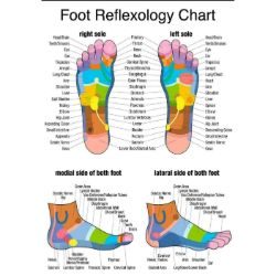 Reflexology